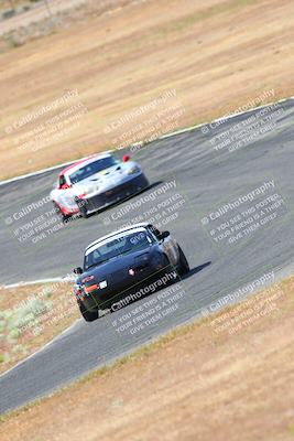 media/May-06-2023-Lucky Dog Racing (Sat) [[8f2256f436]]/Turn 2 10a/